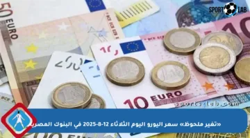 «تغير ملحوظ» سعر اليورو اليوم الثلاثاء 12-8-2025 في البنوك المصرية